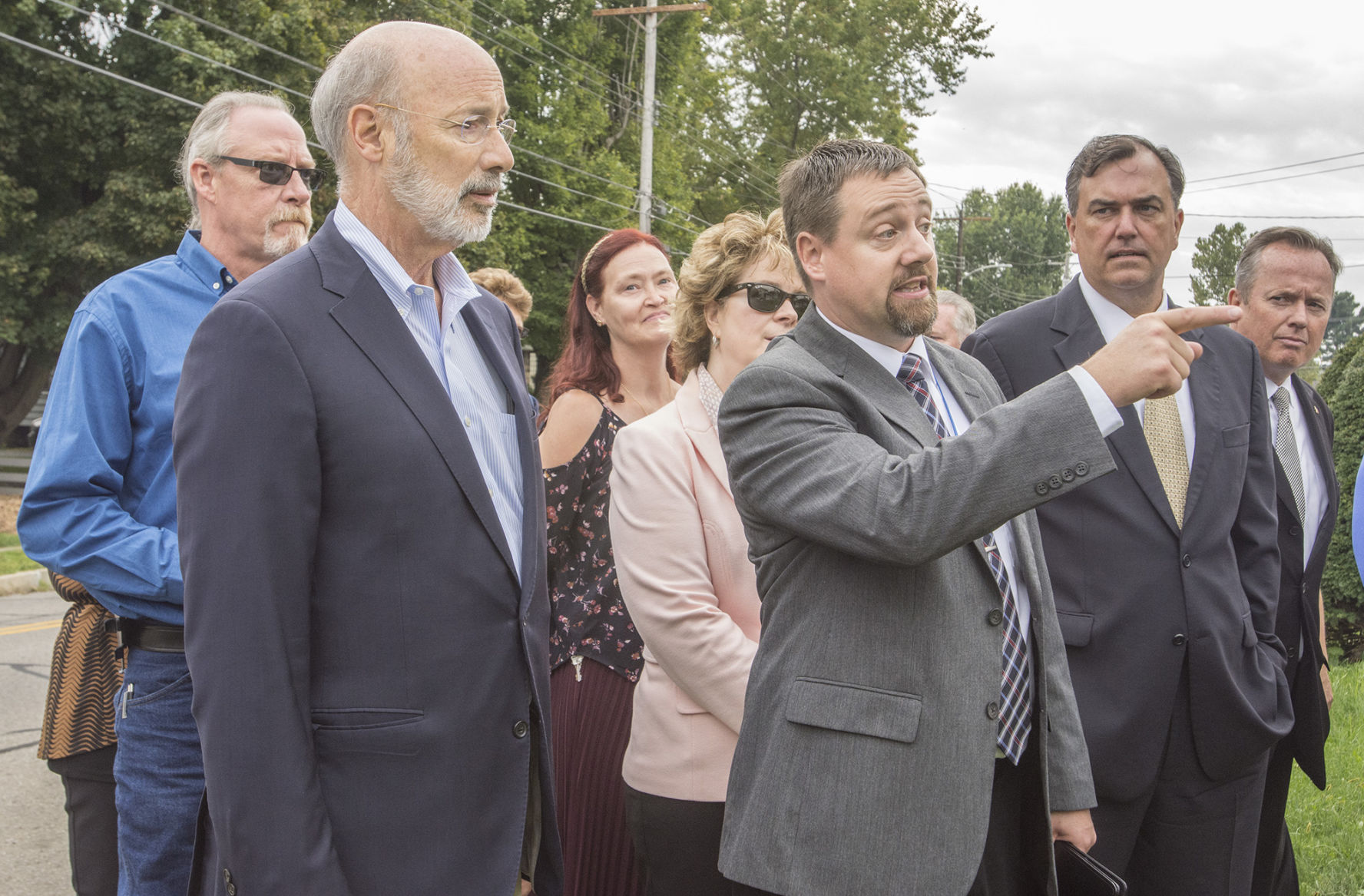 Wolf in Greenville 2